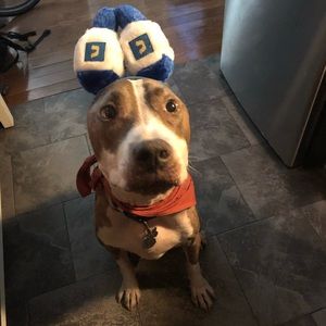 Meet your Posher, Brendan